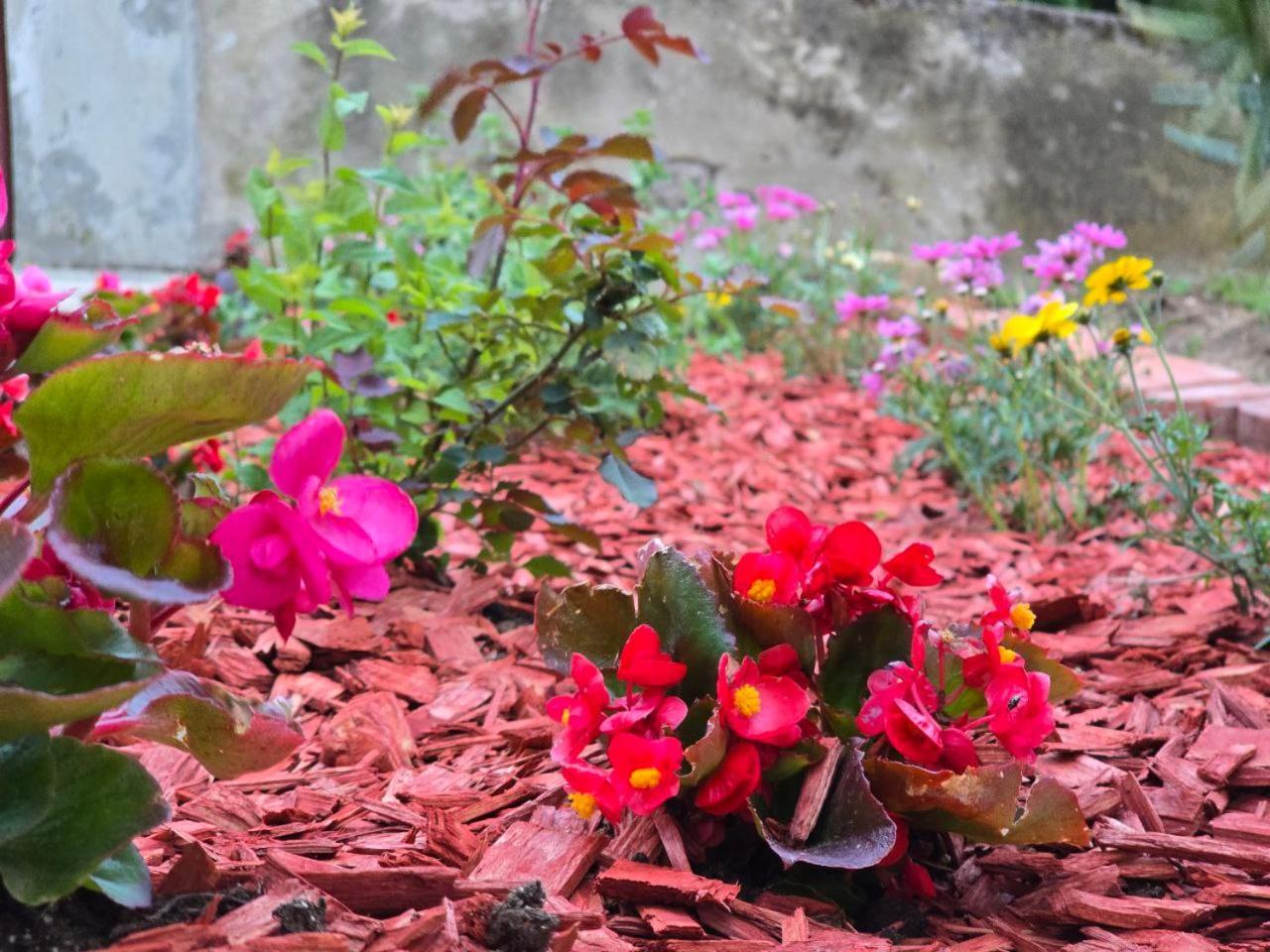 Apartment Deeranaei クラリェヴィツァ エクステリア 写真